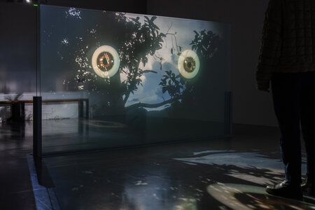 Apichatpong Weerasethakul"Solarium" 2024, SCAI THE BATHHOUSE, photo by Nobutada Omote